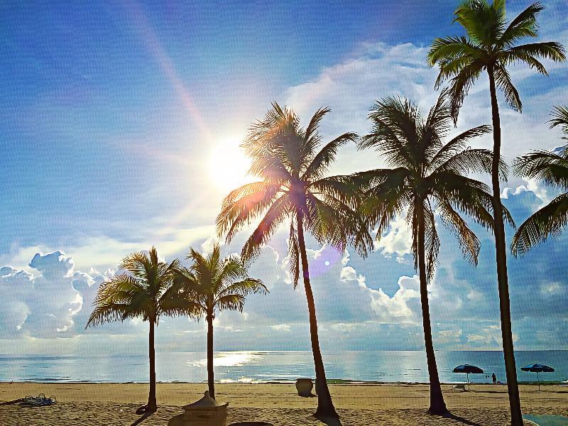 Hollywood Beach Marriott Hotel Exterior photo